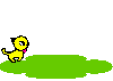 Gif animé merci chat